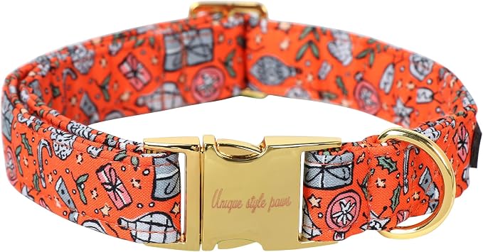 Unique style paws Dog Collar Metal Buckle Puppy Collar by Uniquestylepaws