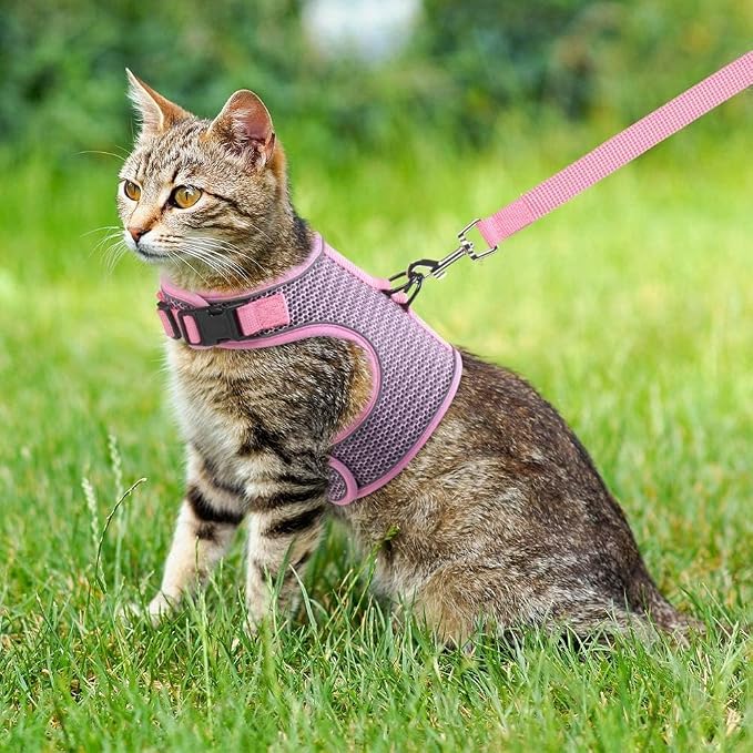 PUPTECK Soft Mesh Cat Vest Harness and Leash Set Puppy Padded Pet Harnesses - Image 5