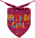 Dog Birthday Party Supplies Dog Birthday Girl Bandanas Party Pet Supplies by Lcekterur