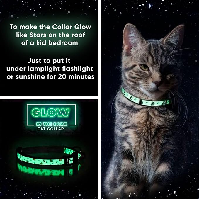Pawtitas Halloween Cat Collars for Cats Adjustable Collar Glow in The Dark - Image 3