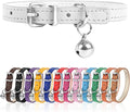 S Dog Collar for Small Dogs Adjustable Dog Collars Cat Collar for Small Medium by Engorgio