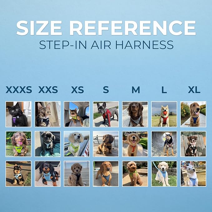 Best Pet Supplies - Image 7