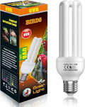 GlowUp 2.4% UVB Bulb for Birds, 20W Compact Fluorescent Light Bulb UVA UVB by GlowUp