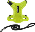 Voyager Escape-Proof Step-in Lock Cat Harness & 5ft Neoprene-Handle Leash Set by BestPetSuppliesLLC