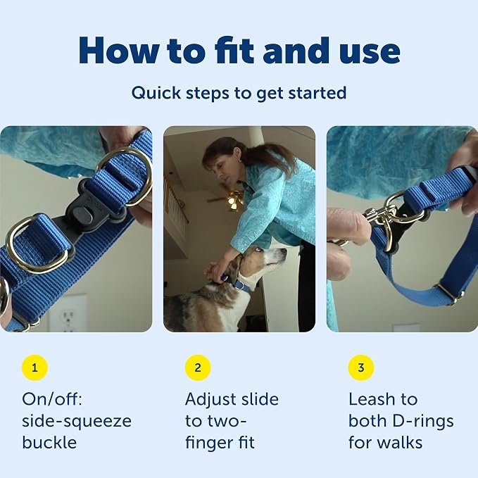 PetSafe KeepSafe Break-Away Safety Collar - Image 6
