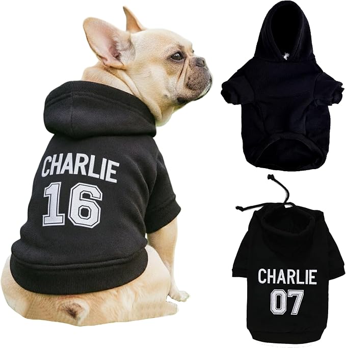 Personalized Name Dog Hoodie, Embroidered Puppy Sweater by Noni