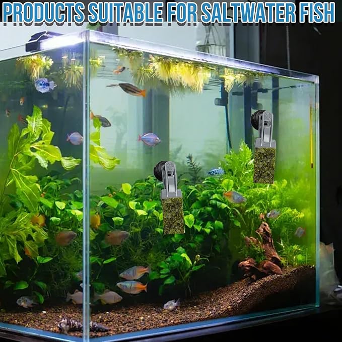 2Pcs Goldfish Feeder, Saltwater Aquarium Accessories Supplies Algae Magnet - Image 6