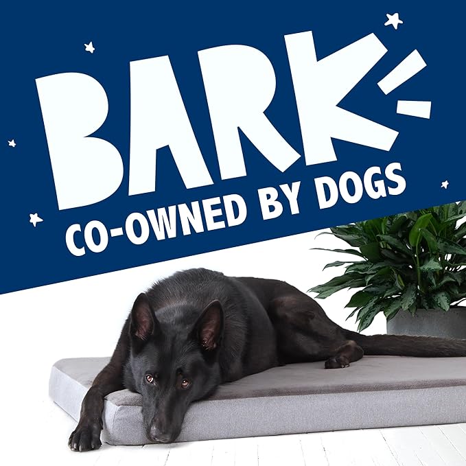 Barkbox Orthopedic Dog Bed - Image 7