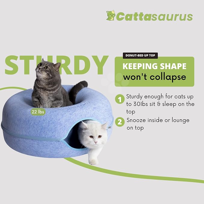Cattasaurus Peekaboo Cat Cave Donut - Image 2
