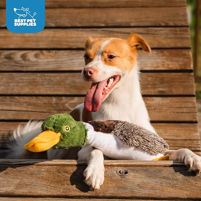 Best Pet Supplies Interactive Squeaky Dog Chew Toy, Ideal Dog Toys - Image 5