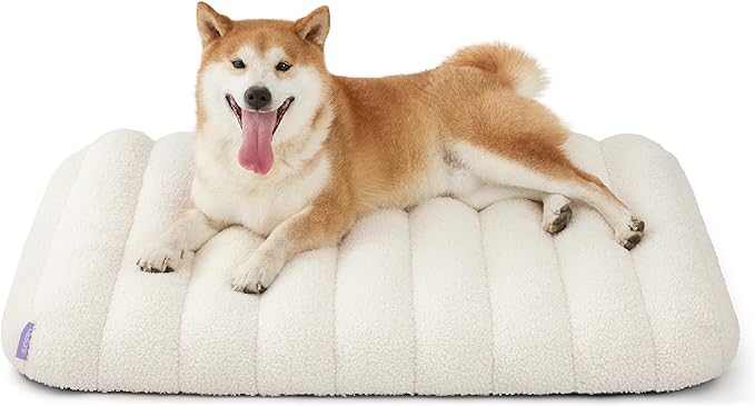 LE SURE Cute Orthopedic Dog Bed Medium Size Dog, Waterproof Chic Flat Pet Beds by Lesure