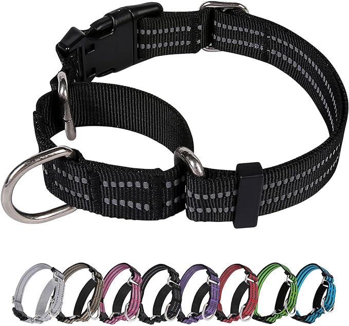 Martingale Dog Collar, Adjustable Nylon Reflective Collar by JOYEEIIOO