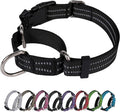 Martingale Dog Collar, Adjustable Nylon Reflective Collar by JOYEEIIOO