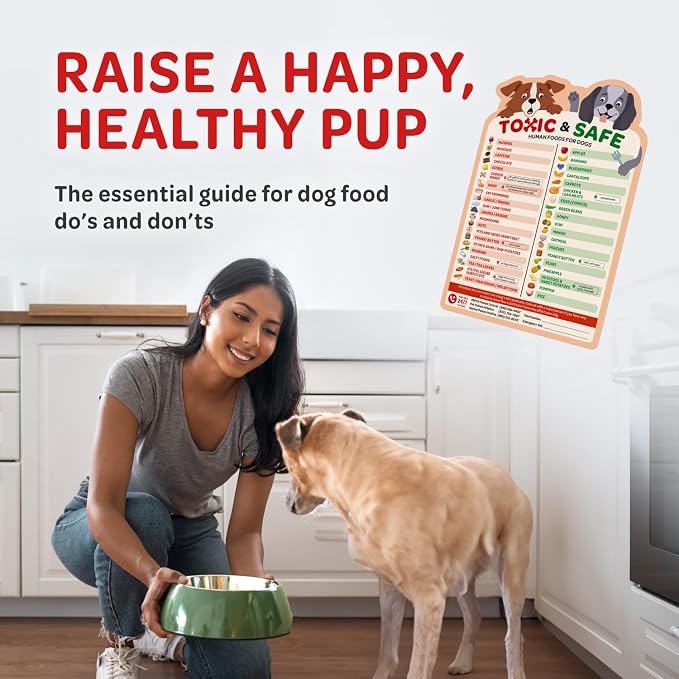 EBPP Magnetic List of Foods Dogs Can Eat - Image 2