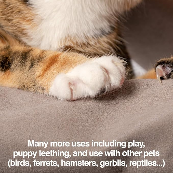 PetFusion Multipurpose Pet Glove - Image 7