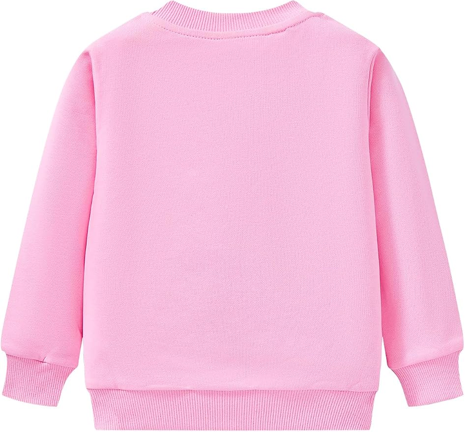 Toddler Baby Girls Cotton Sweater, Long Sleeve Crewneck Sweatshirt Pullover - Image 9