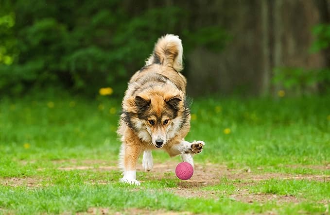 Snug Rubber Dog Balls for Small and Medium Dogs - Image 4