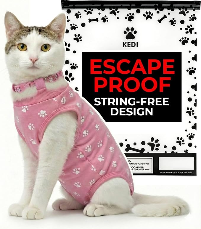 Cat Surgery Recovery Suit Female Cat Onesie by KediPetSolutions