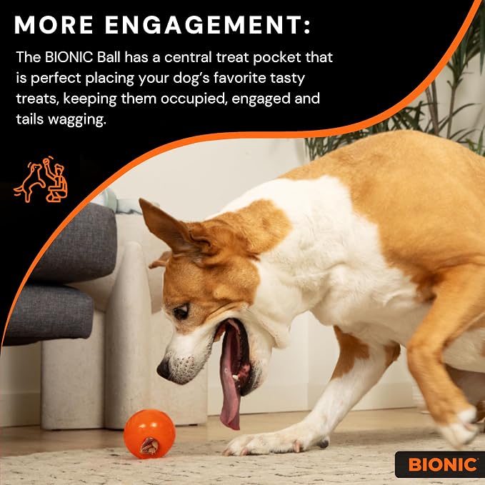 BIONIC Ball Dog Toy, Medium - Image 5