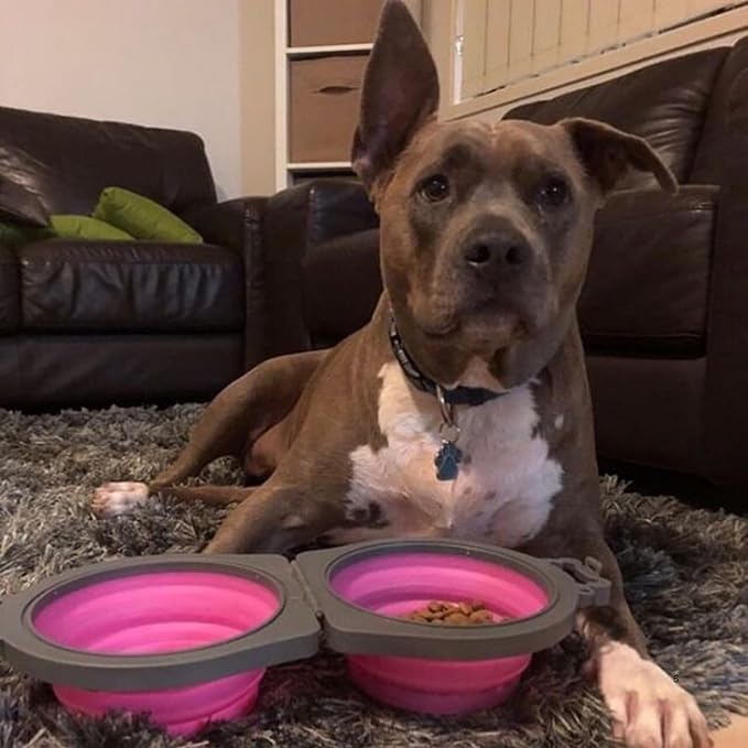Loving Pets Bella Roma Double Diner Collapsible Dog Bowls - Image 5