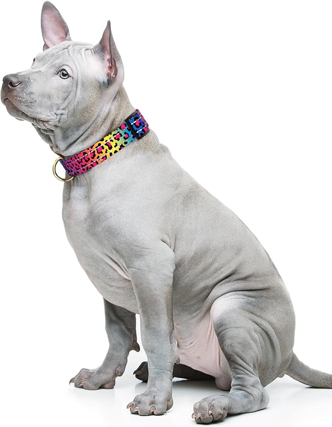 Reflective Dog Collar for Medium Dogs, Cute Leopard Style Adjustable Heavy-Duty - Image 2