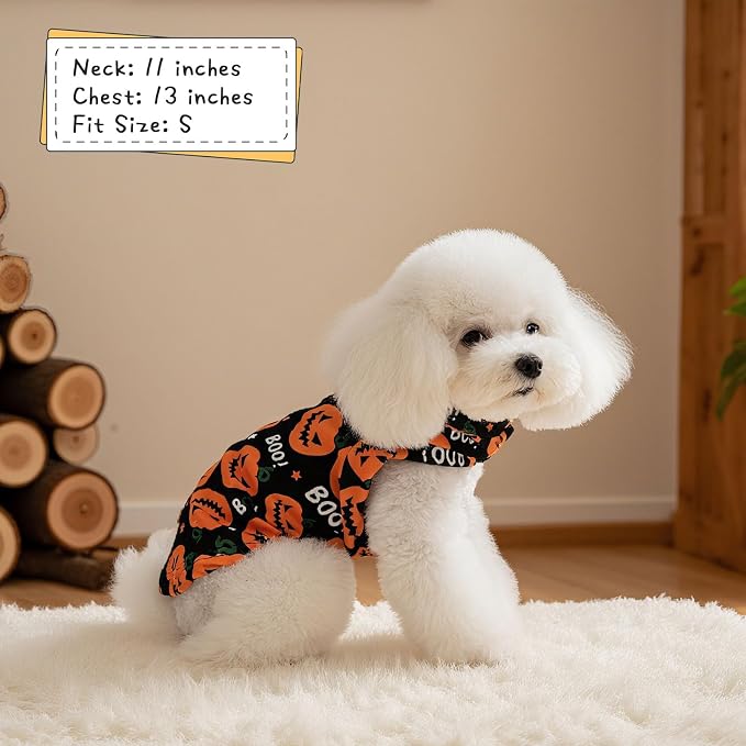 EXPAWLORER Cat Halloween Sweater - Image 5
