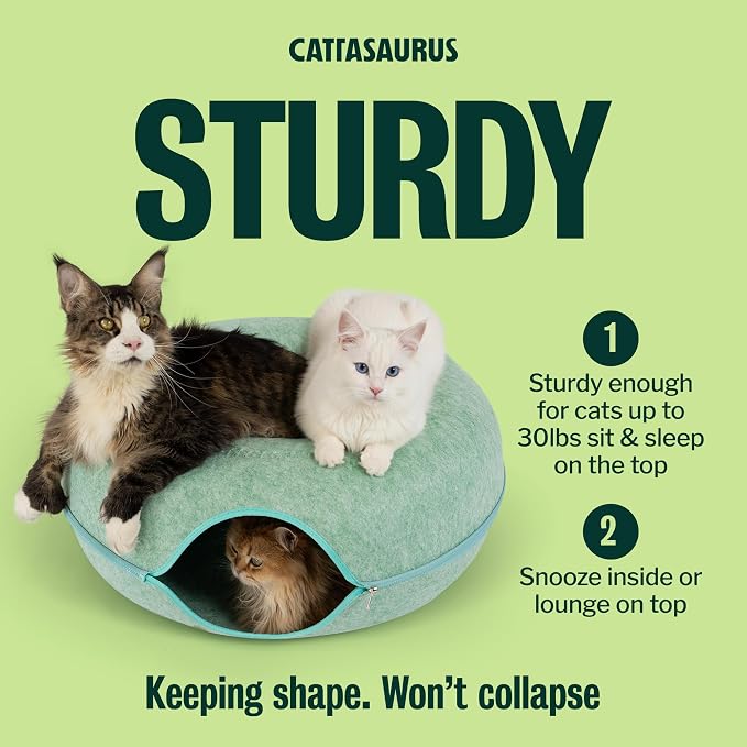 Cattasaurus Peekaboo Cat Cave, Extra Spacious - Image 3