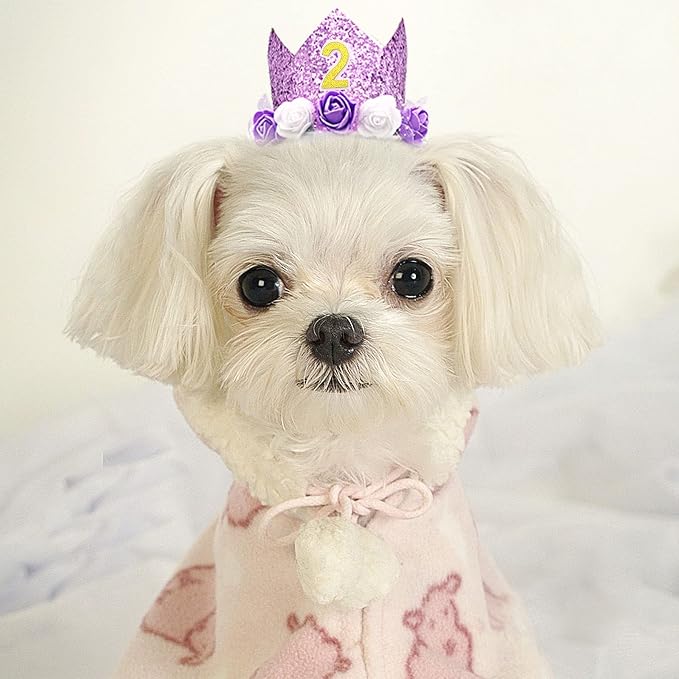 PET SHOW Purple Crown Dog Birthday Party Hat - Image 7