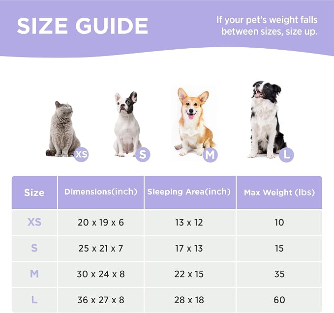 LE SURE Cute Dog Bed for Small Dogs - Image 5
