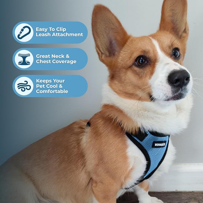 Voyager Step-in Pet Harness - Image 3