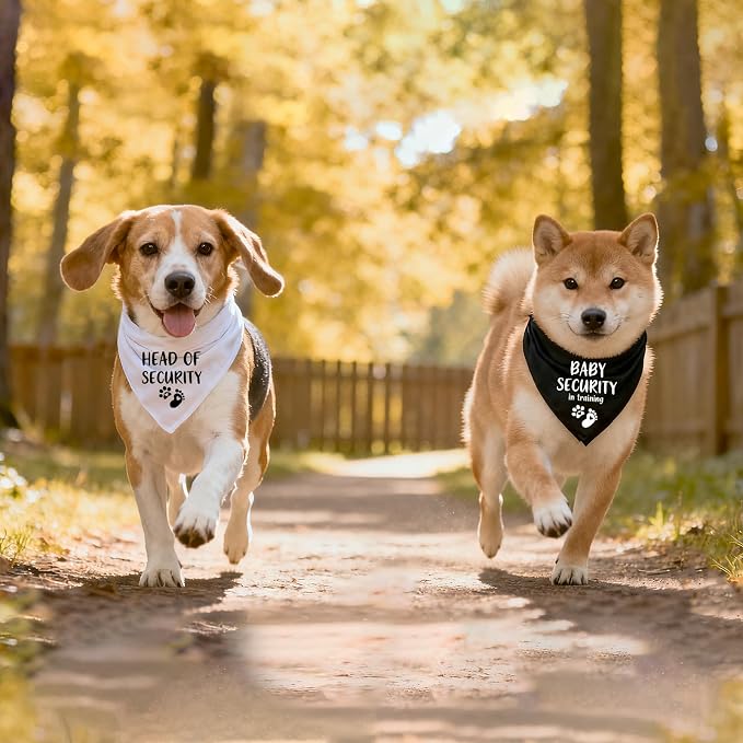 2 Pack Dog Bandana Pregnancy Announcement, Baby Security in Training and Head - Image 6