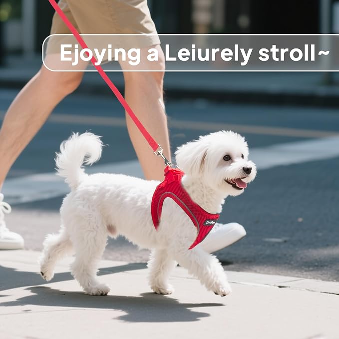 PetiFine Step in Small Dog Harness and Leash Set, Breathable All Weather Air - Image 7