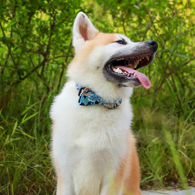 Faleela Cute Soft Girl Dog Collar - Image 5