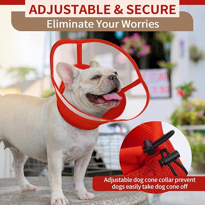 Allroaring Dog Cone, Soft Dog Cones - Image 5