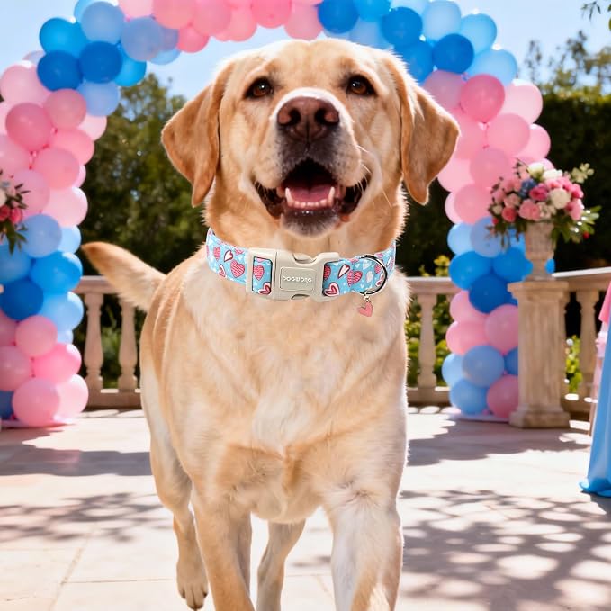 DOGWONG Blue Heart Dog Collar, Cute Valentine Puppy Collar, Valentine's Day Dog - Image 5