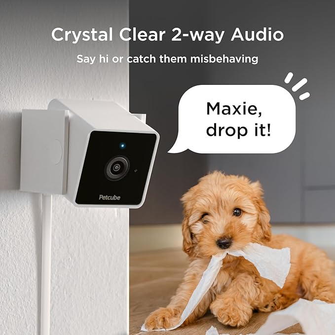 Petcube Cam The Pack of 3 | Indoor Wi-Fi Pet Security Camera - Image 3