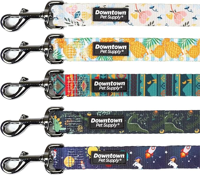 Downtown Pet Supply 6ft Heavy-Duty Dog Leash by DowntownPetSupply