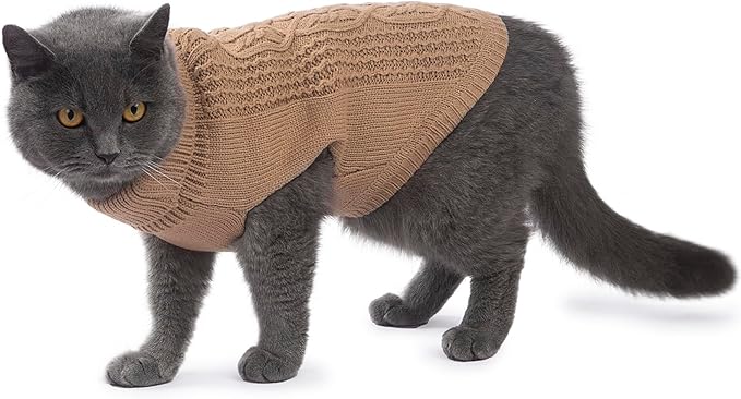 Stretchy Cat Sweater - Image 4