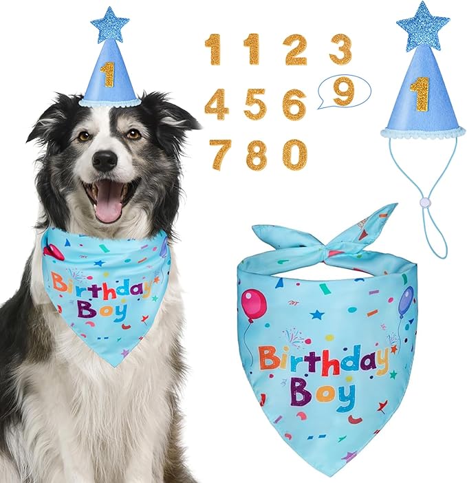 Dog Boy Girl Birthday Party Hat, Dog Birthday Party Supplies, Birthday Bandana by Yicostar
