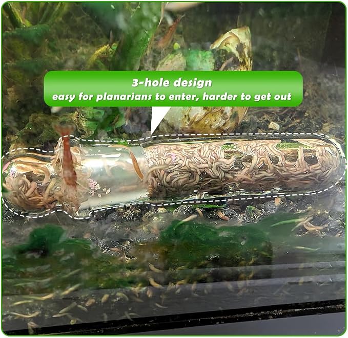 2 Pack Clear Glass Planaria Trap Catch Trap Aquarium Cleaning Supply - Image 4