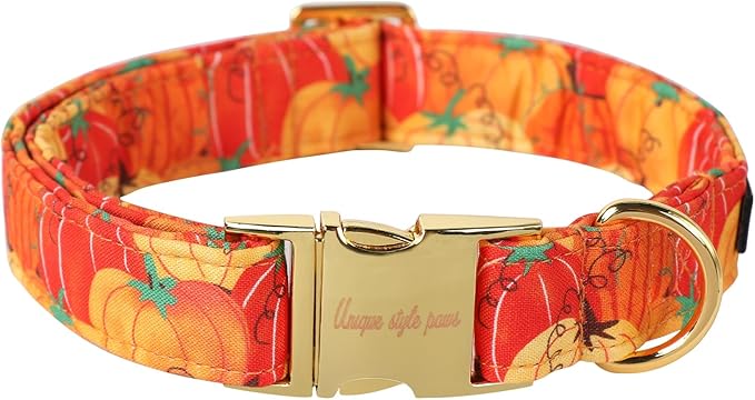 Unique style paws Halloween Dog Collar Metal Buckle Orange Pumpkin Collar Gift by Uniquestylepaws