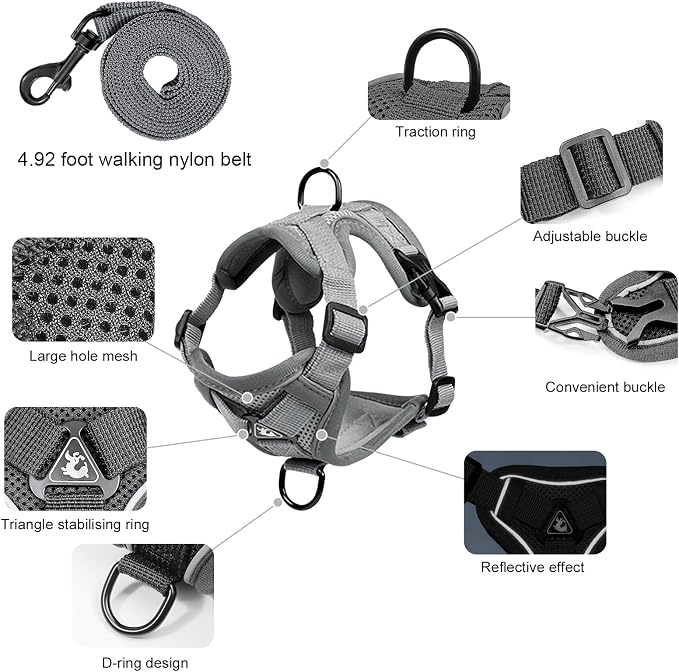 Large Cat Harness and Leash Set - Image 2