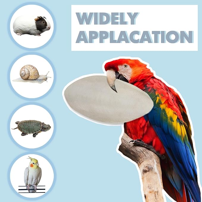 Jmxu's 3.5"-4" Cuttlebone for Birds Parakeets, Cuddle Bone - Image 5
