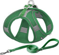 AIITLE No Pull Dog Harness and Leash Set, Step in Adjustable Dog Harness by AIITLE-FORPETSBETTERLIFE