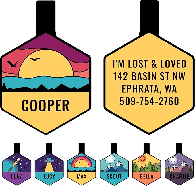GoTags Silent Dog Tag, Personalized Engraved Hexagon Silicone Dog and Cat Name by GoTags