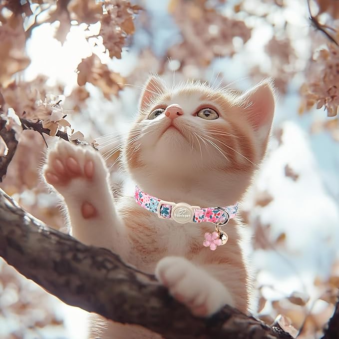 2 Pack Cotton Cat Collars - Image 6