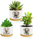 Elephants Succulent Pots 3 Pack, 3 Inch Succulent Planters by Databa