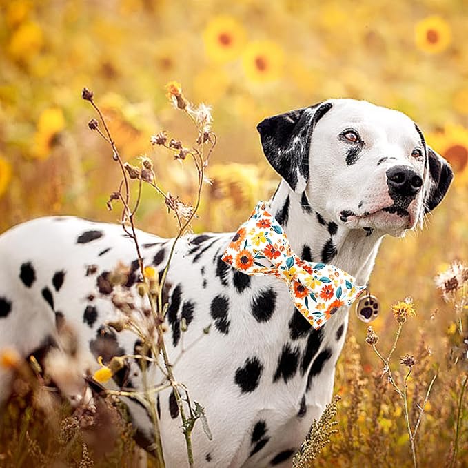 Lionheart glory Dog Collar Bow Collar Floral Dog Collar - Image 6