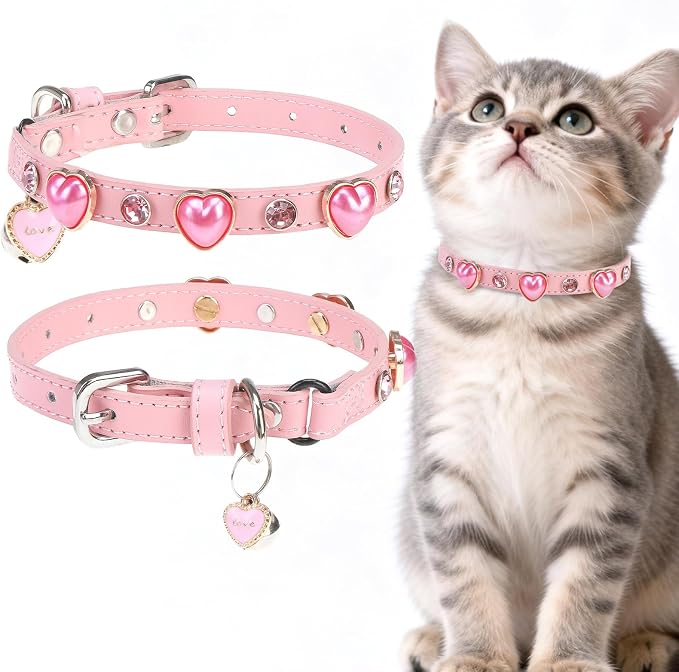 EXPAWLORER Valentine's Day Leather Cat Collar by EXPAWLORER