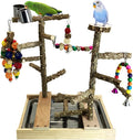 Tfwadmx Bird Playground Natural Wood Bird Play Stands Parrot Perch Stand by Tfwadmx